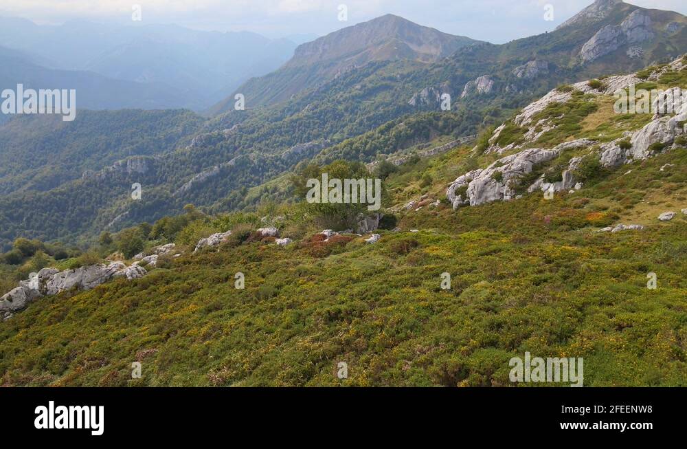 Flora vista Stock Videos & Footage HD and 4K Video Clips Alamy