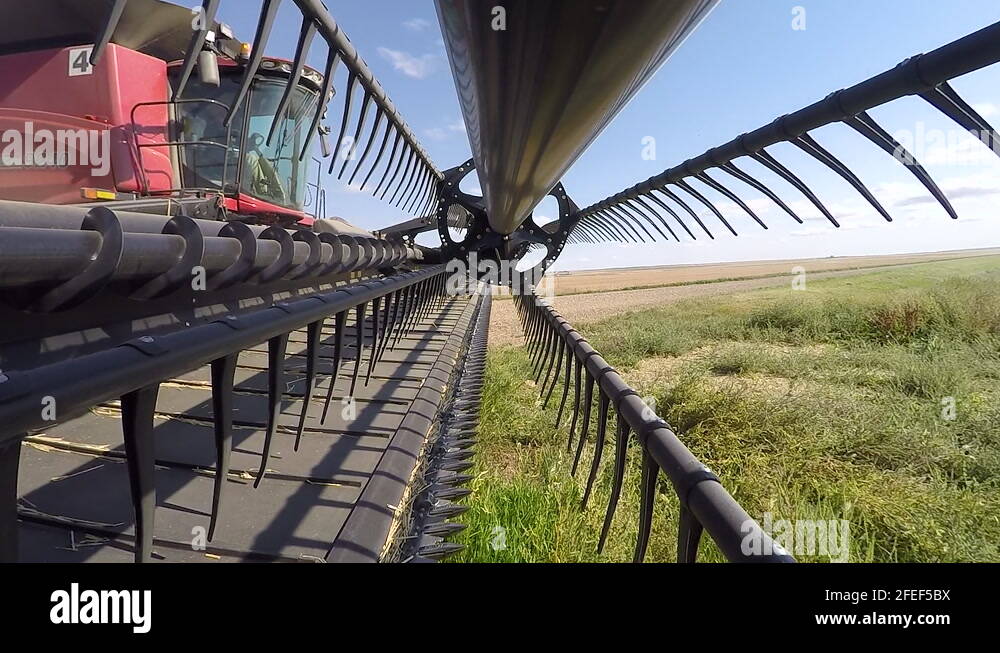 Combine Harvester Starting Up Header With Rotating Blades And Auger
