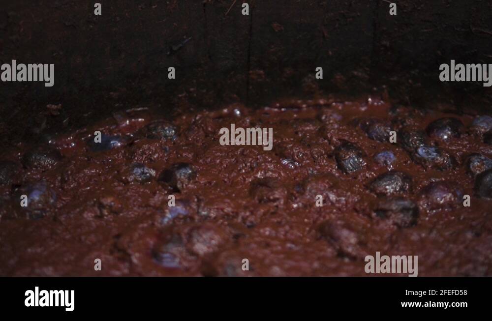 Fruit distillation Stock Videos & Footage HD and 4K Video Clips Alamy