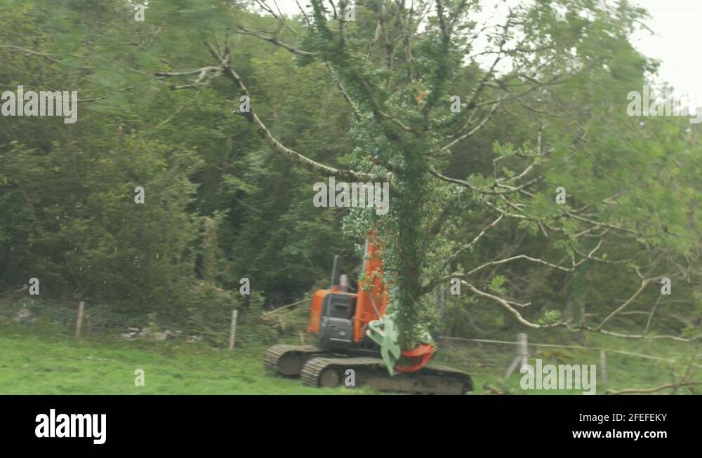 Shear design Stock Videos & Footage HD and 4K Video Clips Alamy