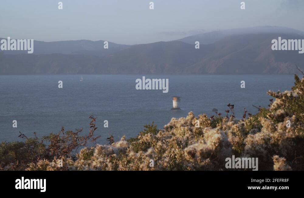 Lands end garden Stock Videos & Footage HD and 4K Video Clips Alamy