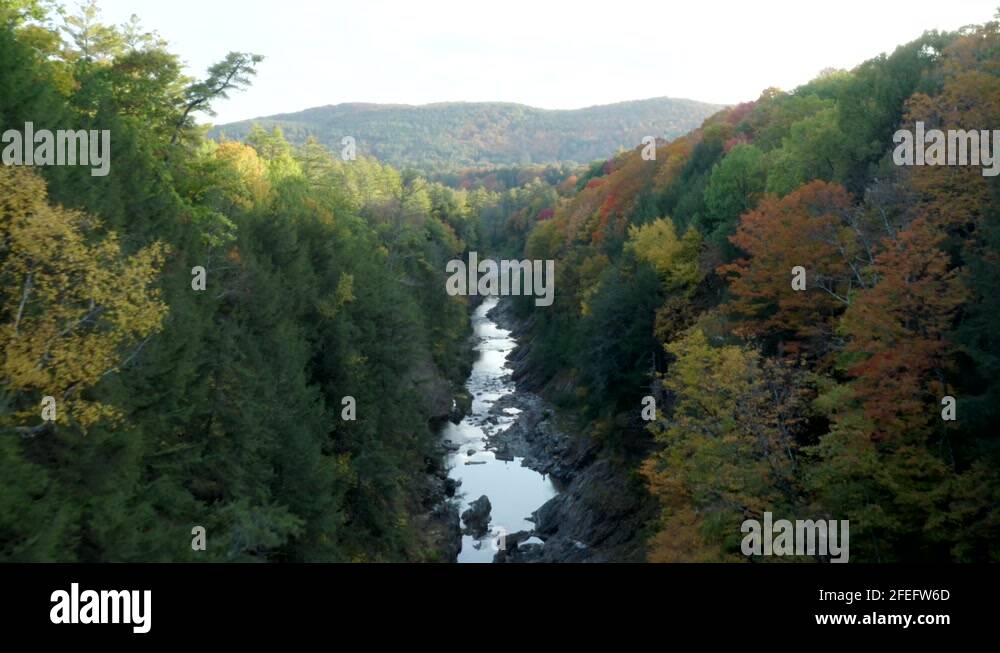 Birch creek birch creek Stock Videos & Footage HD and 4K