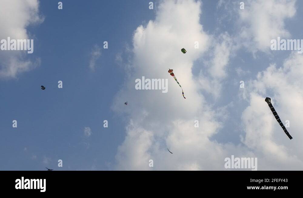 India kite flying competition Stock Videos & Footage HD and 4K Video