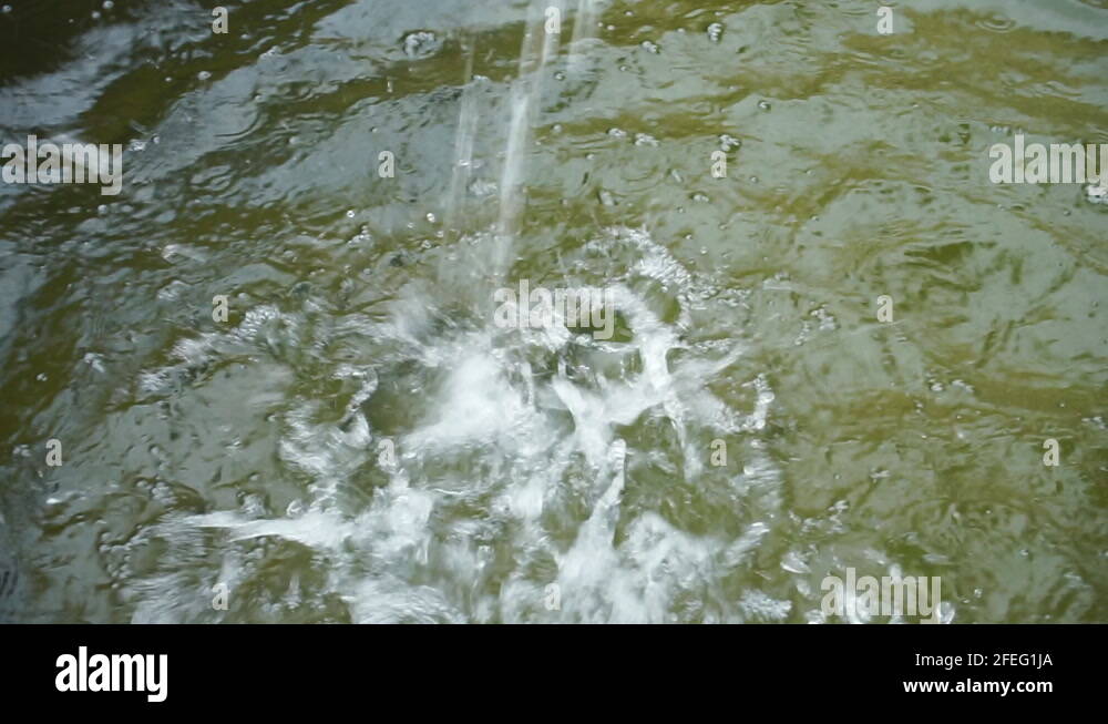 Algae fountain Stock Videos & Footage HD and 4K Video Clips Alamy