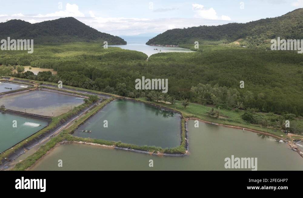 Animal farm rotation Stock Videos & Footage - HD and 4K Video Clips - Alamy