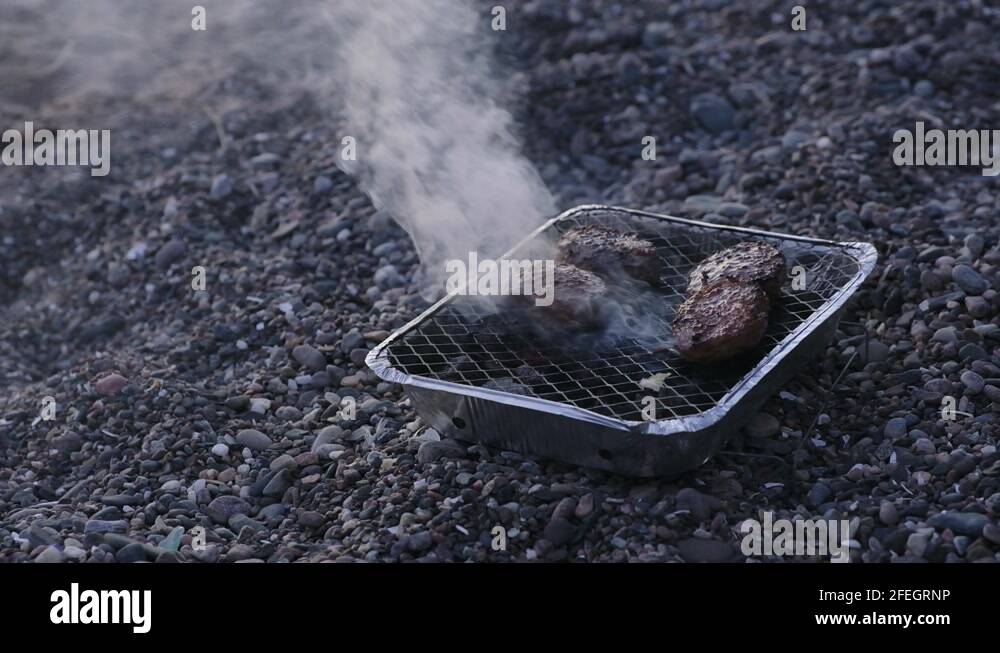 Beach barbeque not bear Stock Videos & Footage HD and 4K Video Clips