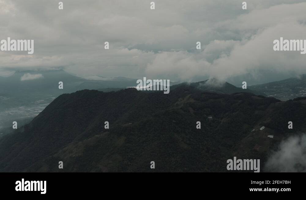 Rainforest of guatemala Stock Videos & Footage HD and 4K Video Clips