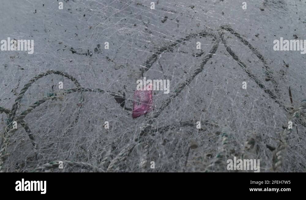 Plastic wrapper pollution Stock Videos & Footage HD and 4K Video