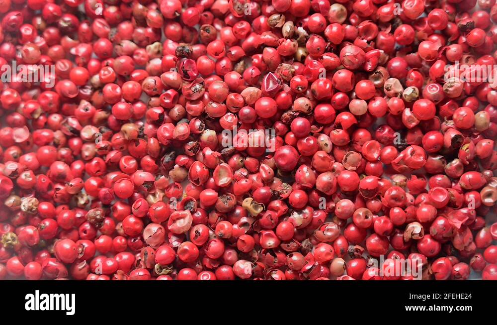Chilli berries Stock Videos & Footage HD and 4K Video Clips Alamy