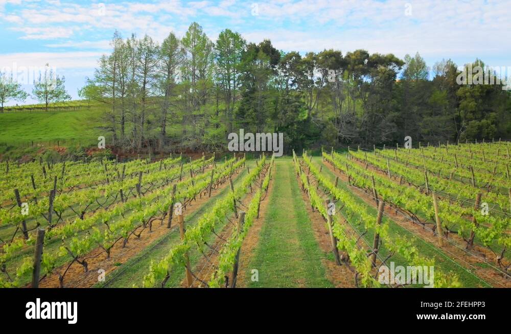 Kumeu auckland Stock Videos & Footage HD and 4K Video Clips Alamy