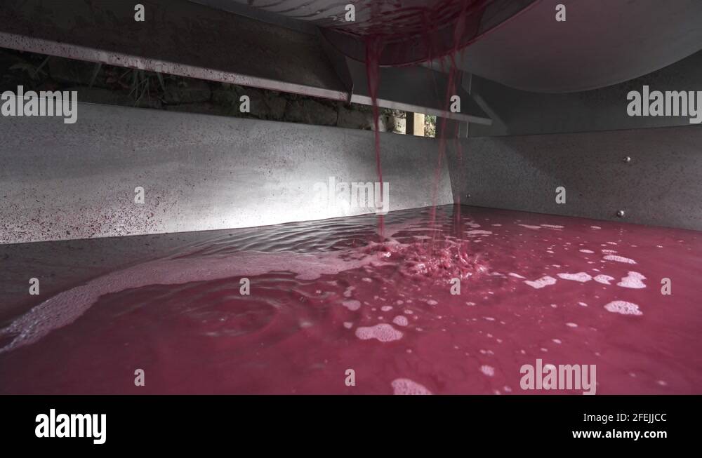 Mechanical wine press Stock Videos & Footage HD and 4K Video Clips