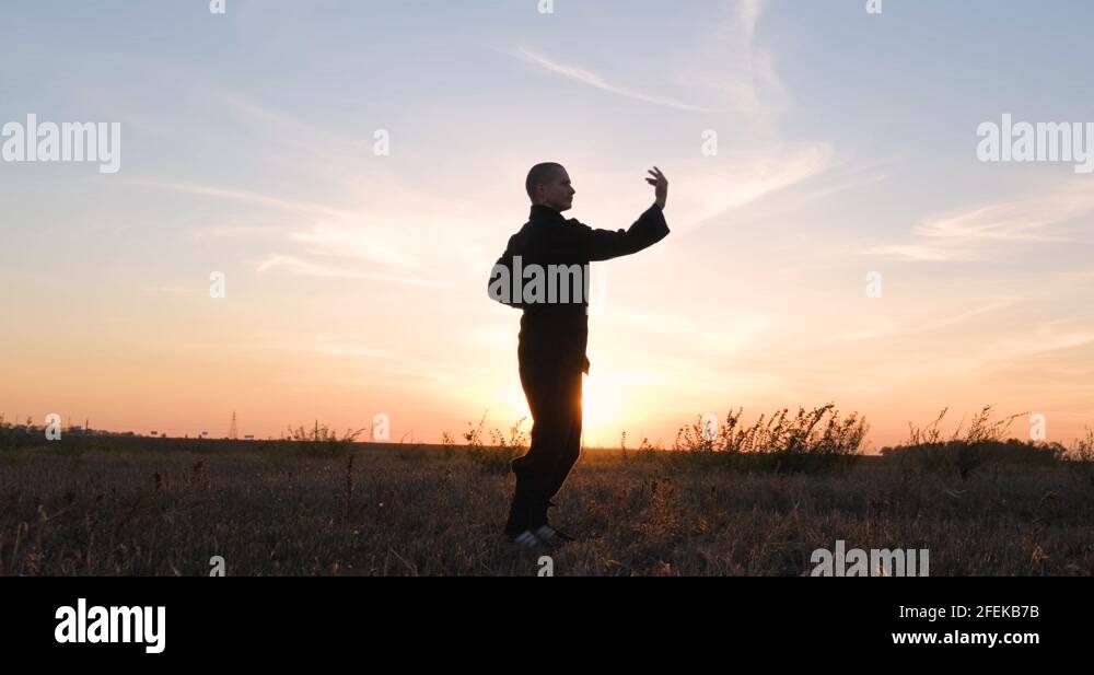 Kung fu fighter Stock Videos & Footage - HD and 4K Video Clips - Alamy