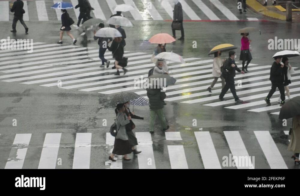 People Holding Umbrellas Up And Crossing The Road - Shibuya Crossing On ...