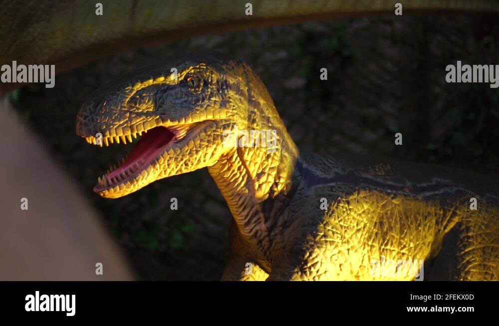 Closeup giant predator velociraptor dinosaurus with sharp teeth Stock ...