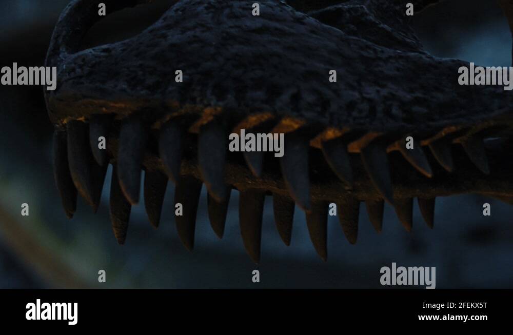 Sharp teeth dinosaur Stock Videos & Footage - HD and 4K Video Clips - Alamy