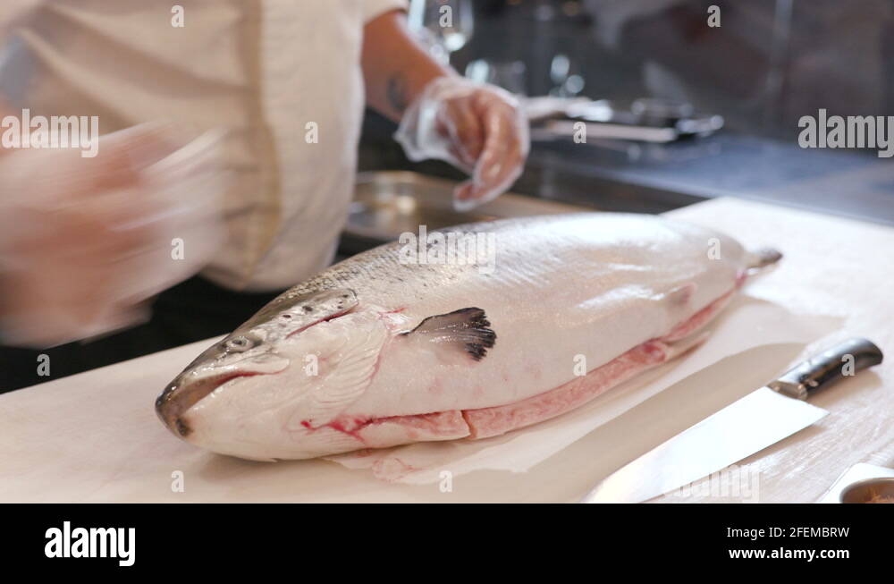 Chef's hands wipe the skin of a whole salmon fish and cut its head with