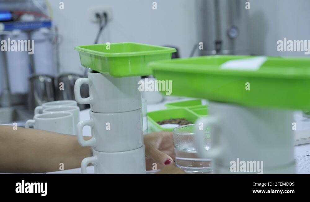 Coffee plantage Stock Videos & Footage HD and 4K Video Clips Alamy