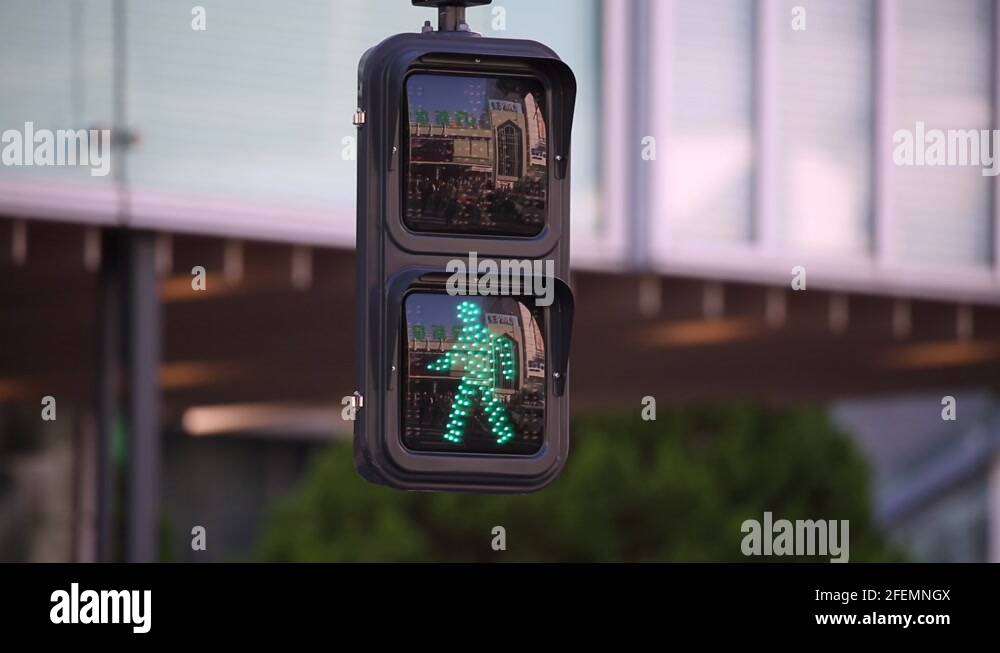 Pedestrian Traffic Light Green Sign in Blinking and Changing into the