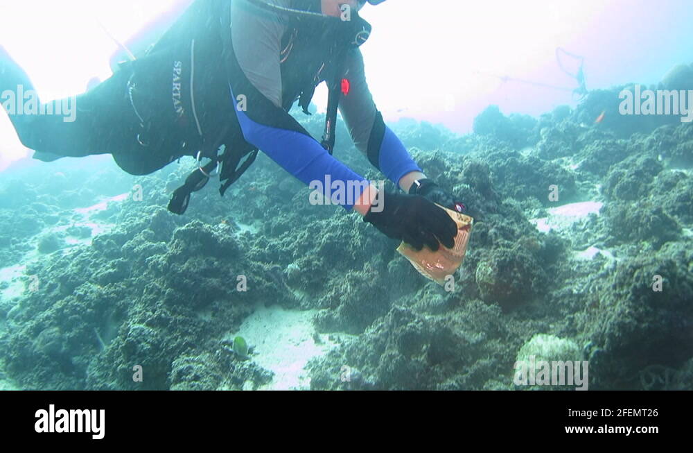 Scubadivertrash Stock Videos & Footage HD and 4K Video Clips Alamy