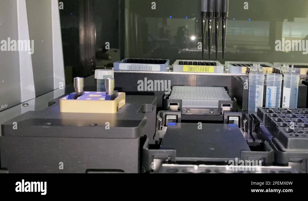 Laboratory of molecular biology Stock Videos & Footage HD and 4K