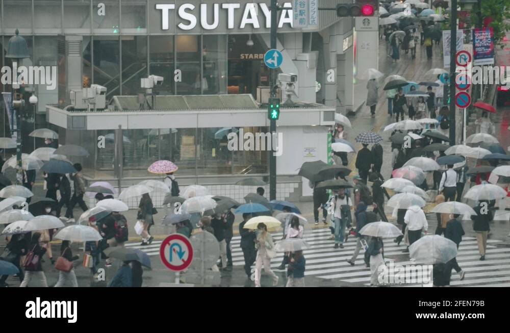 Crowd Of People With Umbrella On A Rainy Day Cross At Shibuya Crossing ...