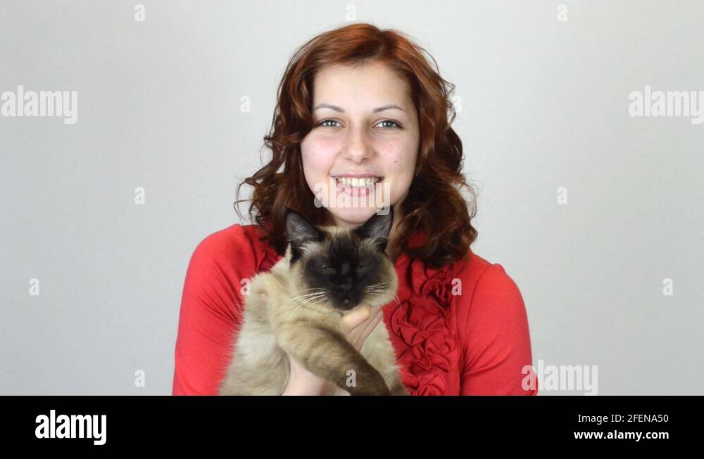 Girl siamese cat Stock Videos & Footage HD and 4K Video Clips Alamy