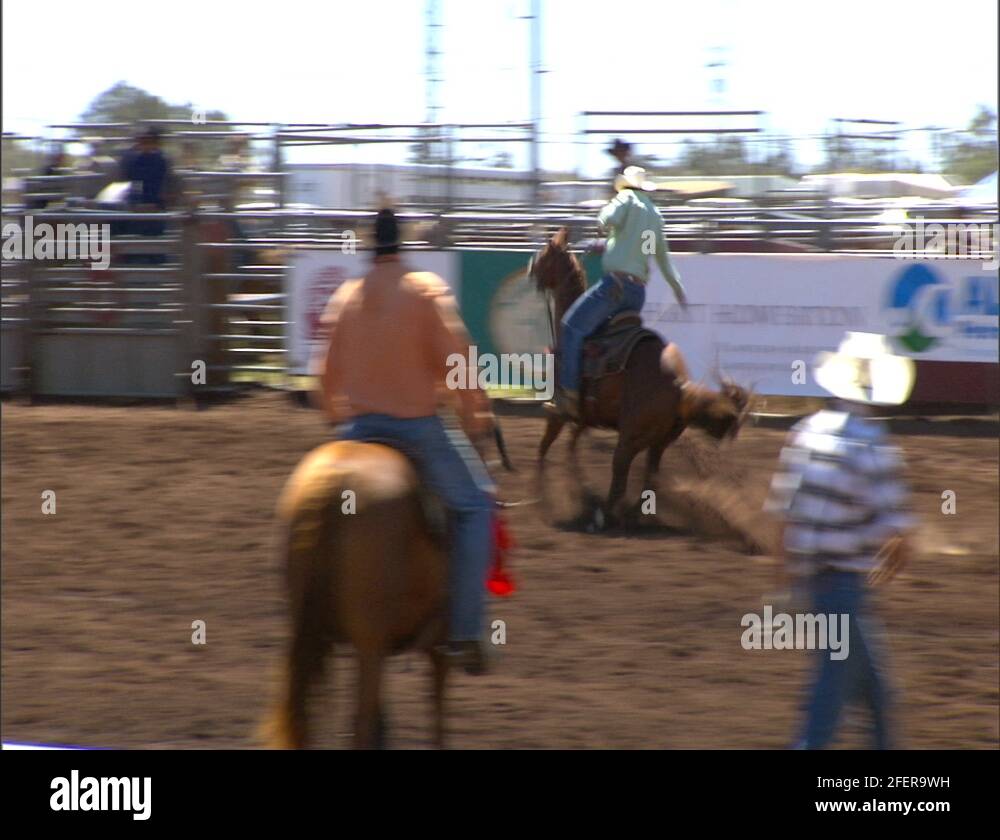 Roping Stock Videos & Footage HD and 4K Video Clips Alamy