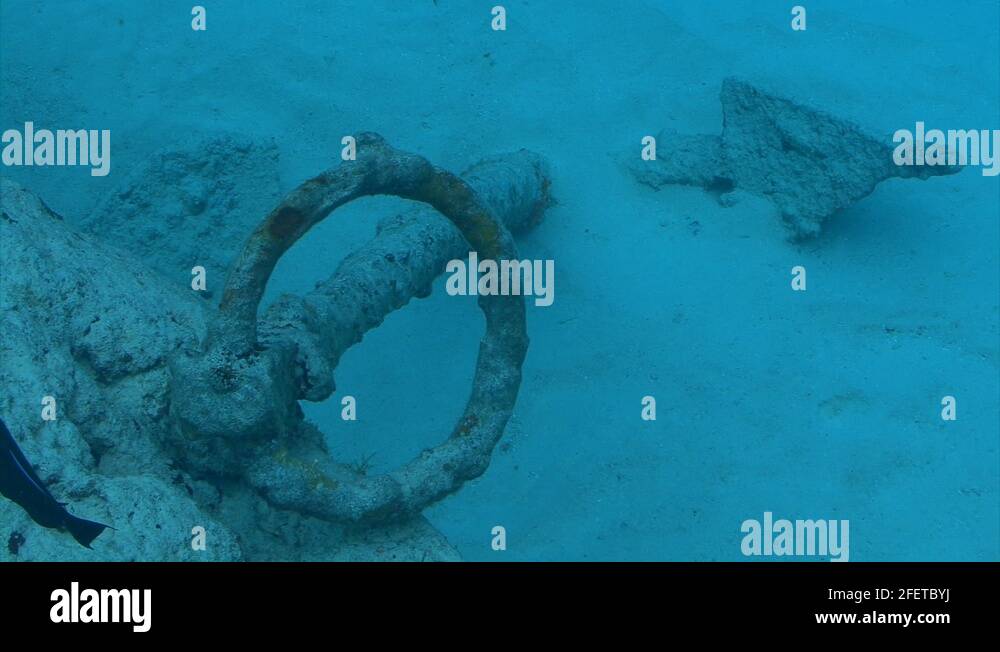 Ship anchor underwater Stock Videos & Footage HD and 4K Video Clips