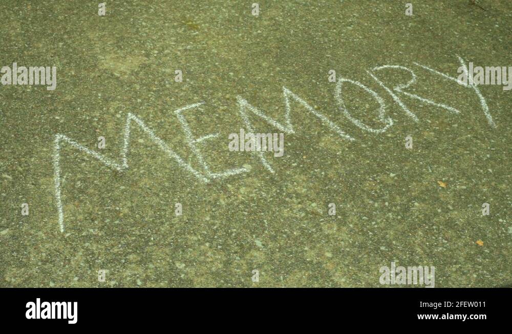 Erasing history Stock Videos & Footage HD and 4K Video Clips Alamy