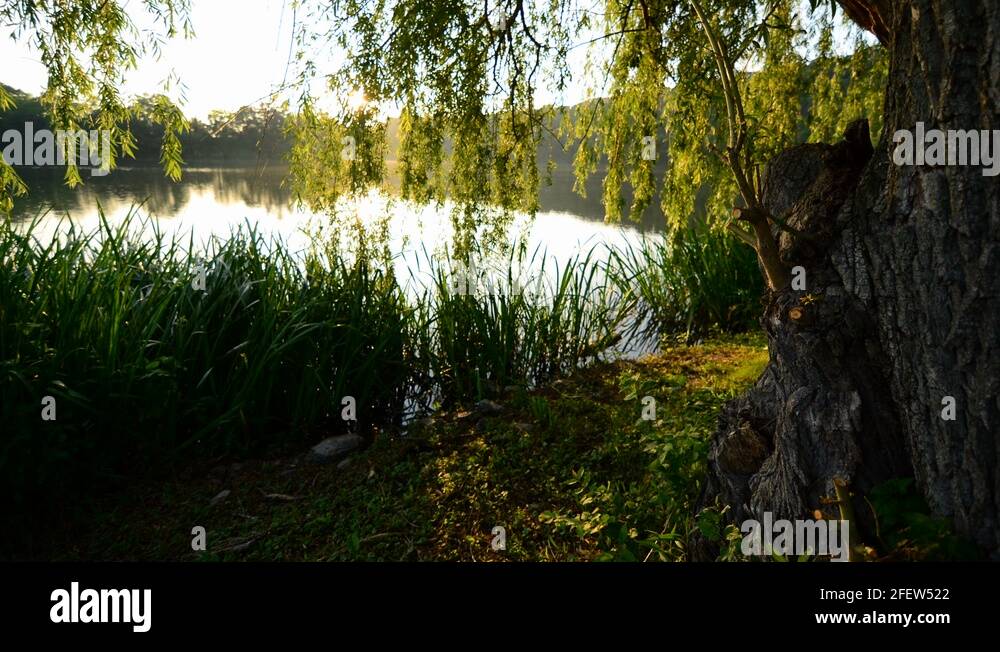 Lake redman Stock Videos & Footage - HD and 4K Video Clips - Alamy