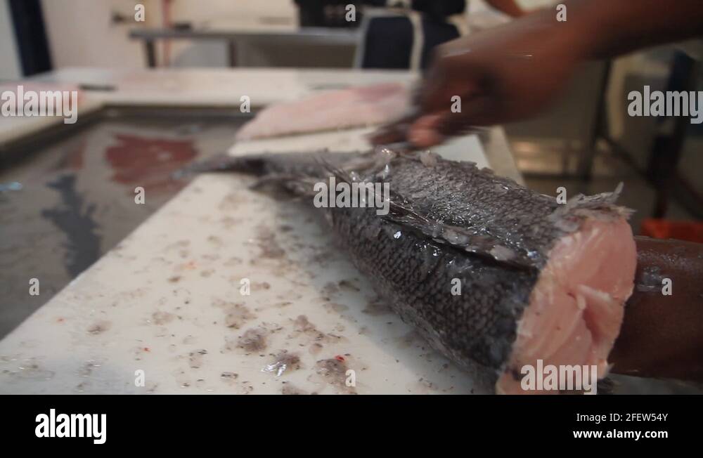 Hake Stock Videos & Footage HD and 4K Video Clips Alamy