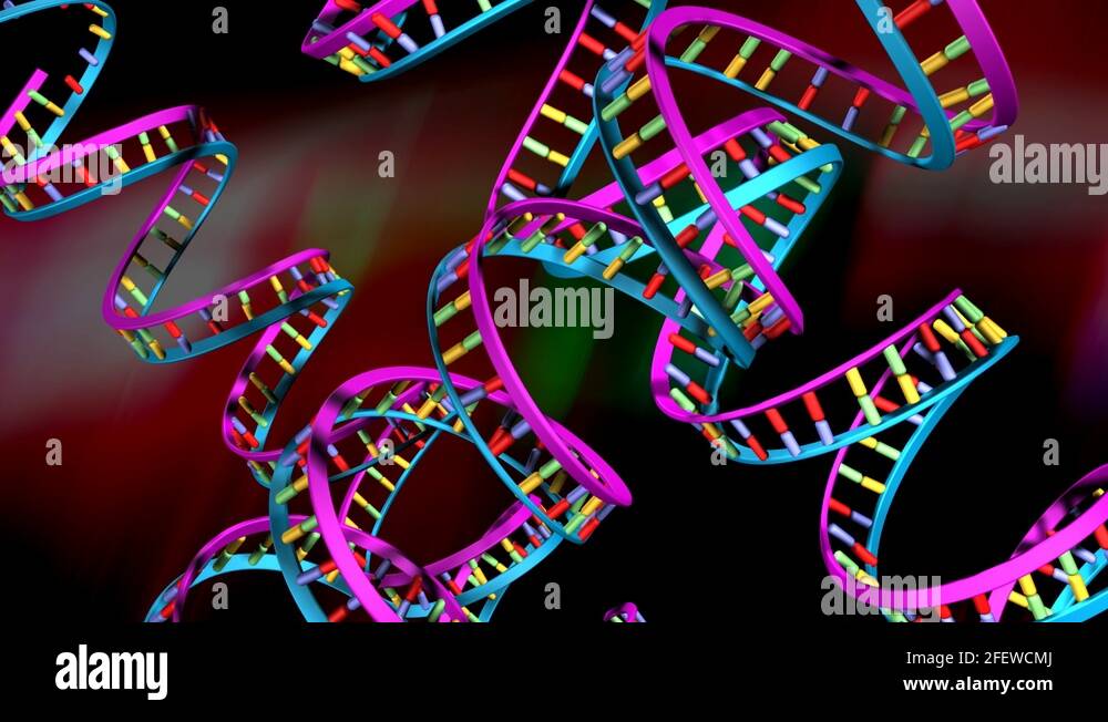 Rna strands Stock Videos & Footage - HD and 4K Video Clips - Alamy