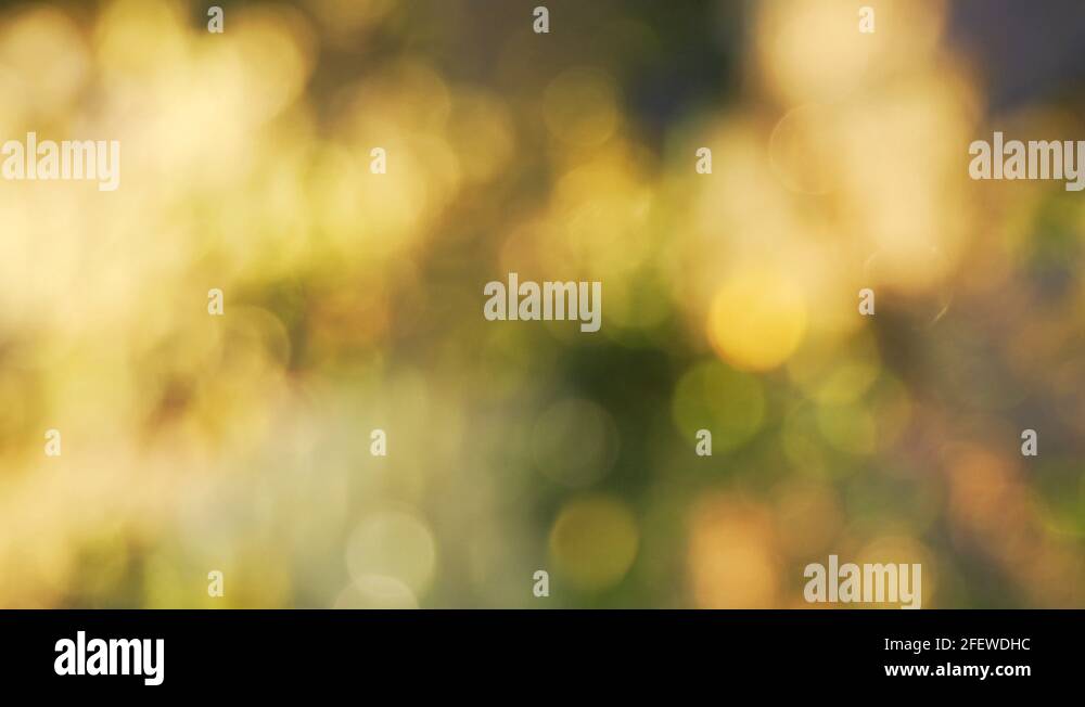 Specular highlights Stock Videos & Footage HD and 4K Video Clips Alamy