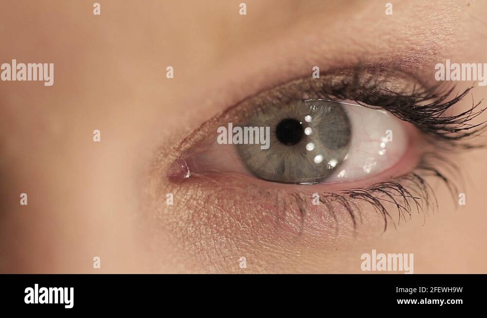 Ring light use Stock Videos & Footage HD and 4K Video Clips Alamy