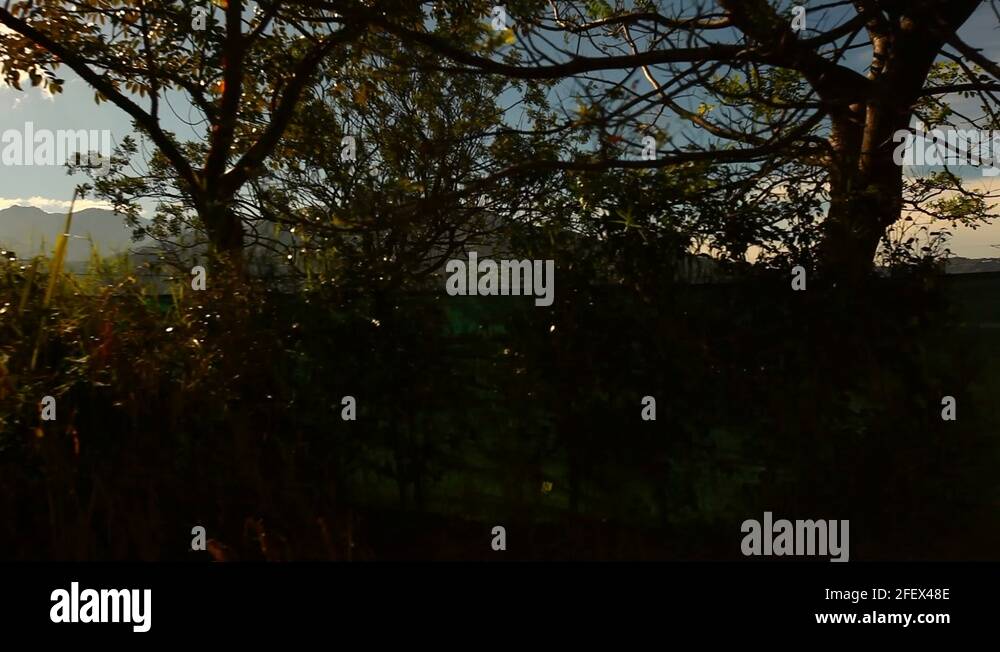 Video link prison Stock Videos & Footage HD and 4K Video Clips Alamy