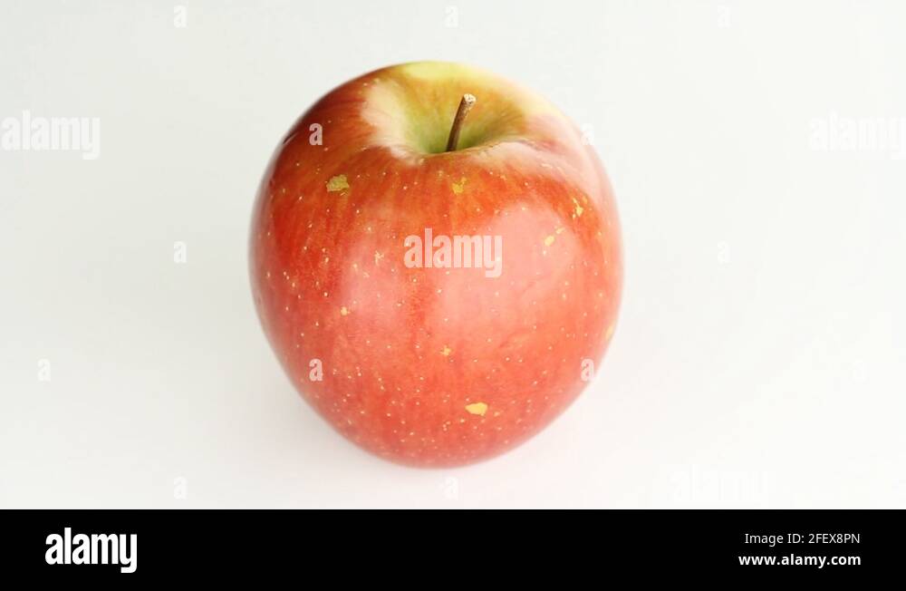 Red honeycrisp apple Stock Videos & Footage HD and 4K Video Clips Alamy