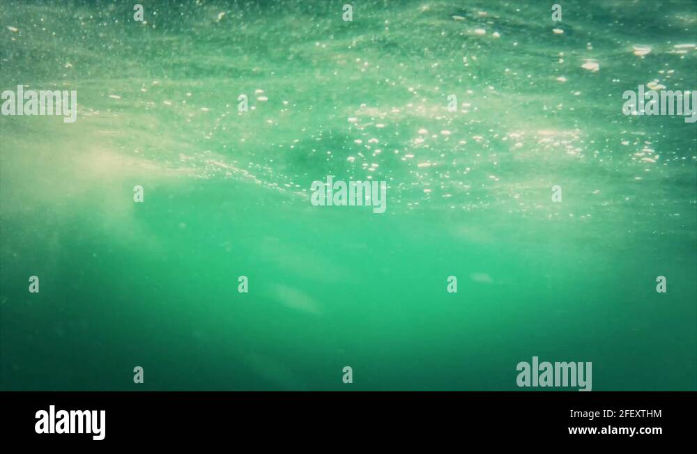 Lobster trap buoy underwater Stock Videos & Footage HD and 4K Video