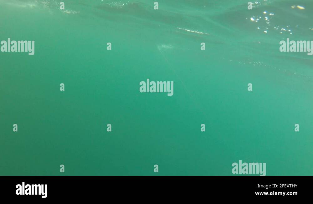 lobster traps pulled from ocean floor underwater shot Stock Video