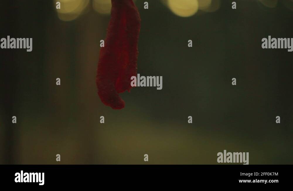 Jerky production Stock Videos & Footage HD and 4K Video Clips Alamy