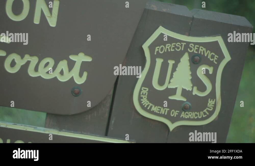 Us forest service history Stock Videos & Footage HD and 4K Video