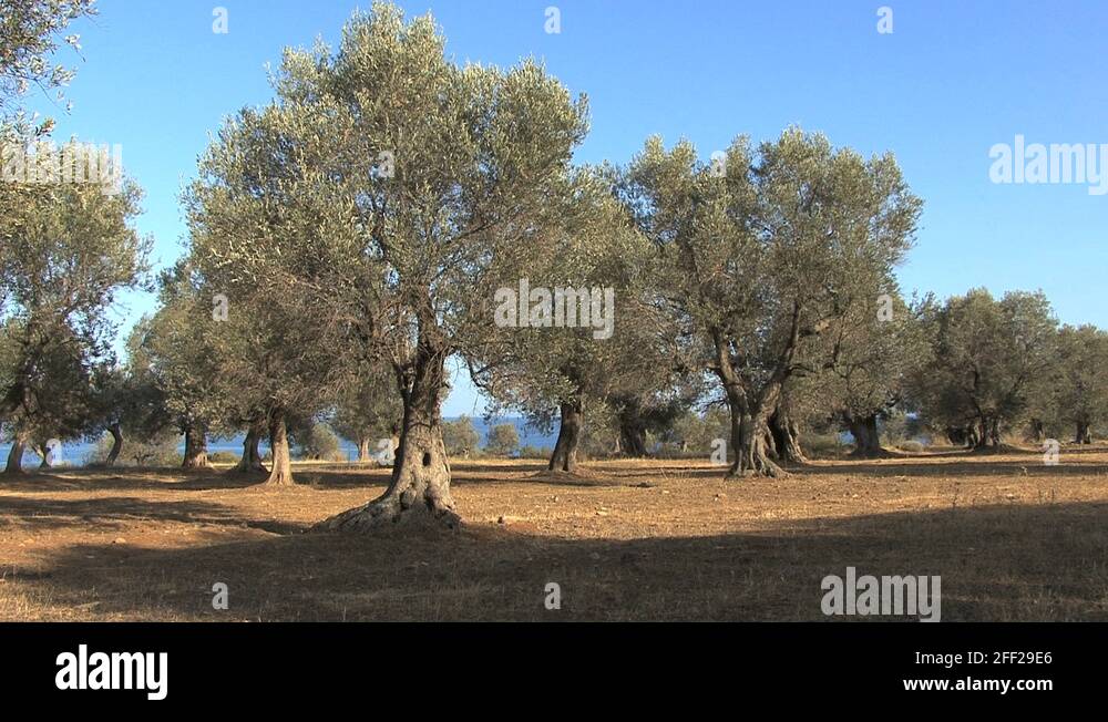 Basilicata Stock Videos & Footage - HD and 4K Video Clips - Alamy
