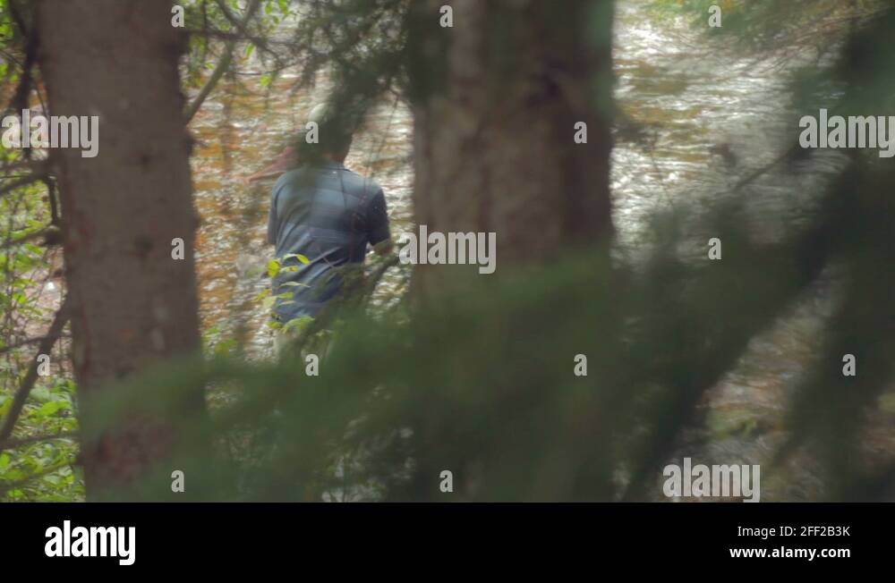 Poaching of fish Stock Videos & Footage HD and 4K Video Clips Alamy