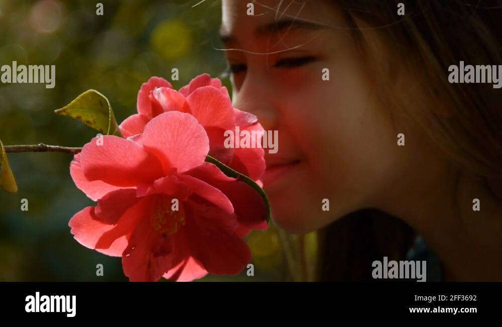 Young girl smelling flower Stock Videos & Footage HD and 4K Video Clips Alamy