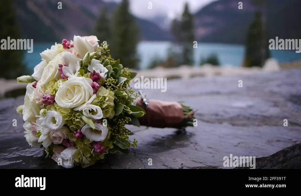 Lake louise banff flowers Stock Videos & Footage HD and 4K Video