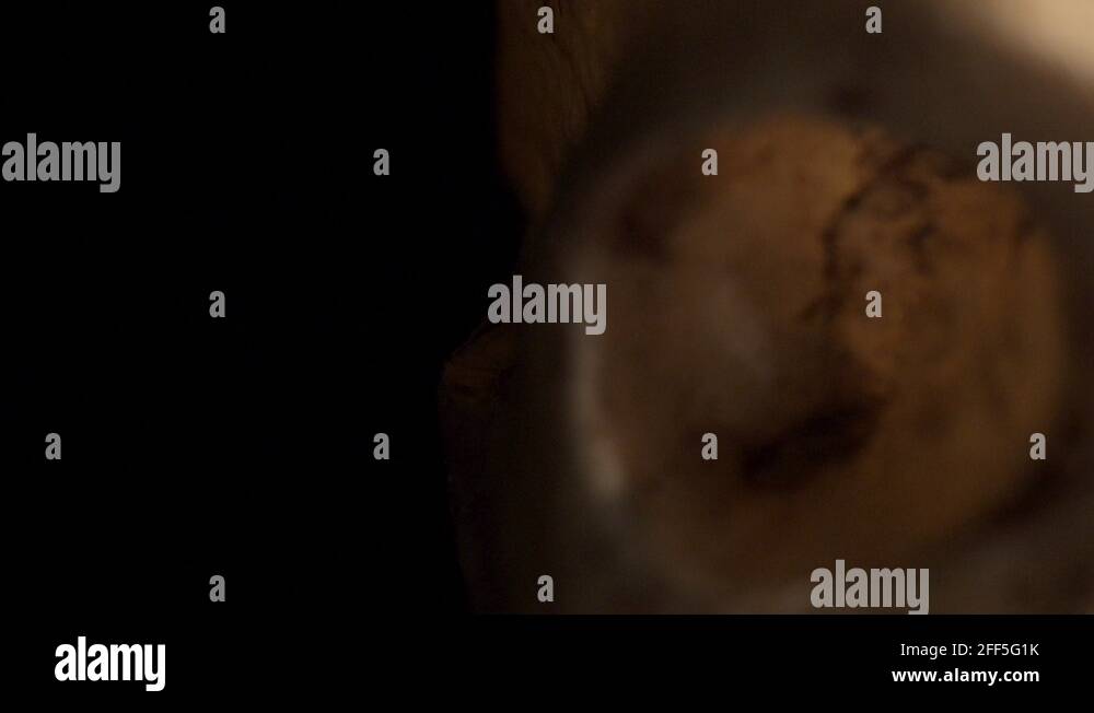 Empty eye sockets Stock Videos & Footage HD and 4K Video Clips Alamy