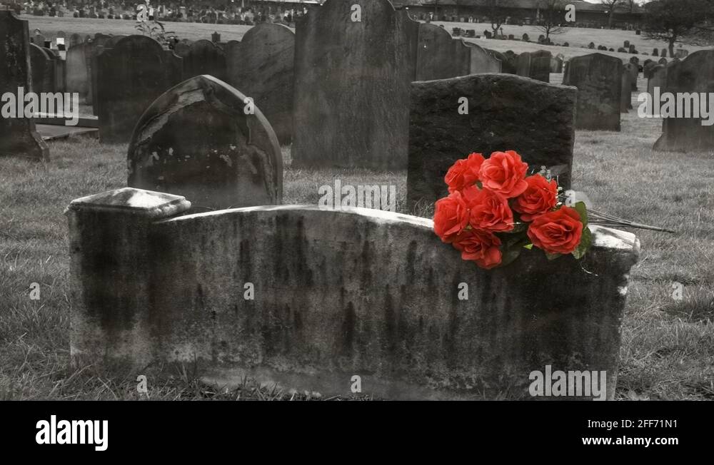 Headstone roses Stock Videos & Footage - HD and 4K Video Clips - Alamy