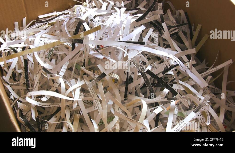Man male business paper shred shredded shredding documents privacy