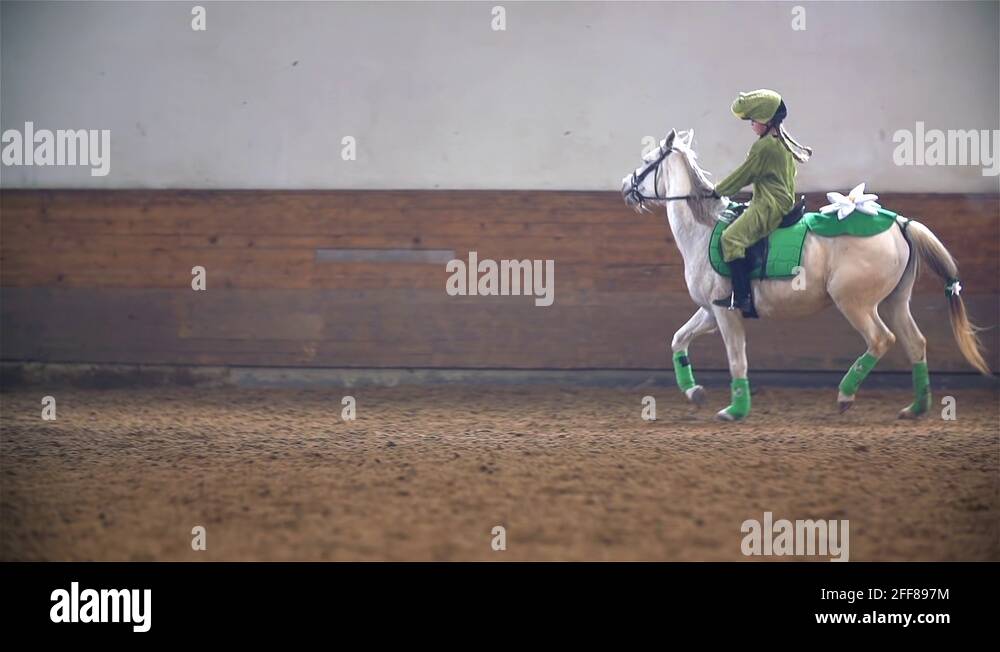Horse and frog Stock Videos & Footage - HD and 4K Video Clips - Alamy