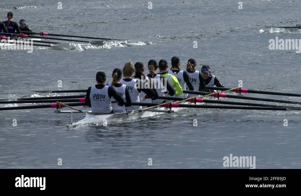 Rowers Rowing a Shell In a Regatta Stock Video Footage - Alamy