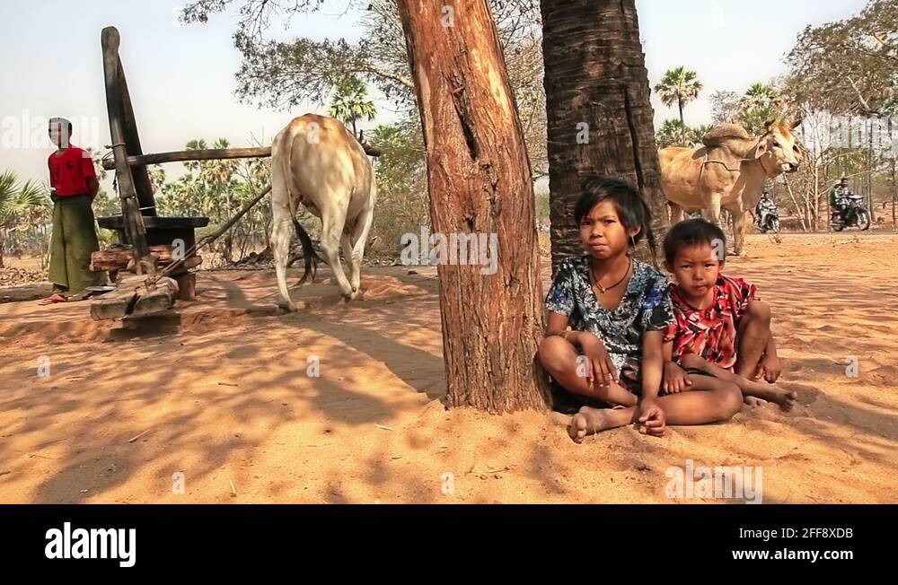 Oil children Stock Videos & Footage HD and 4K Video Clips Alamy